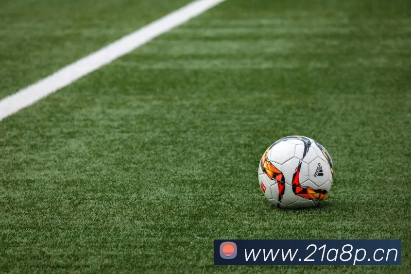 App Interface Preview