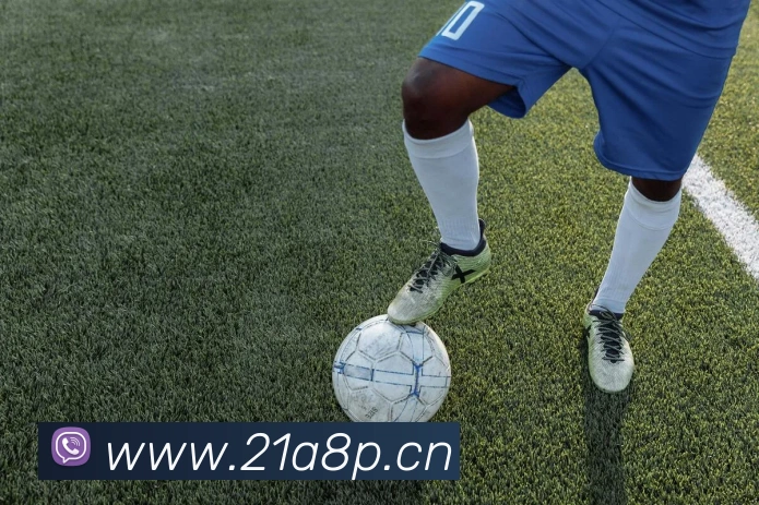 乐鱼综合体育官网APP 封面图